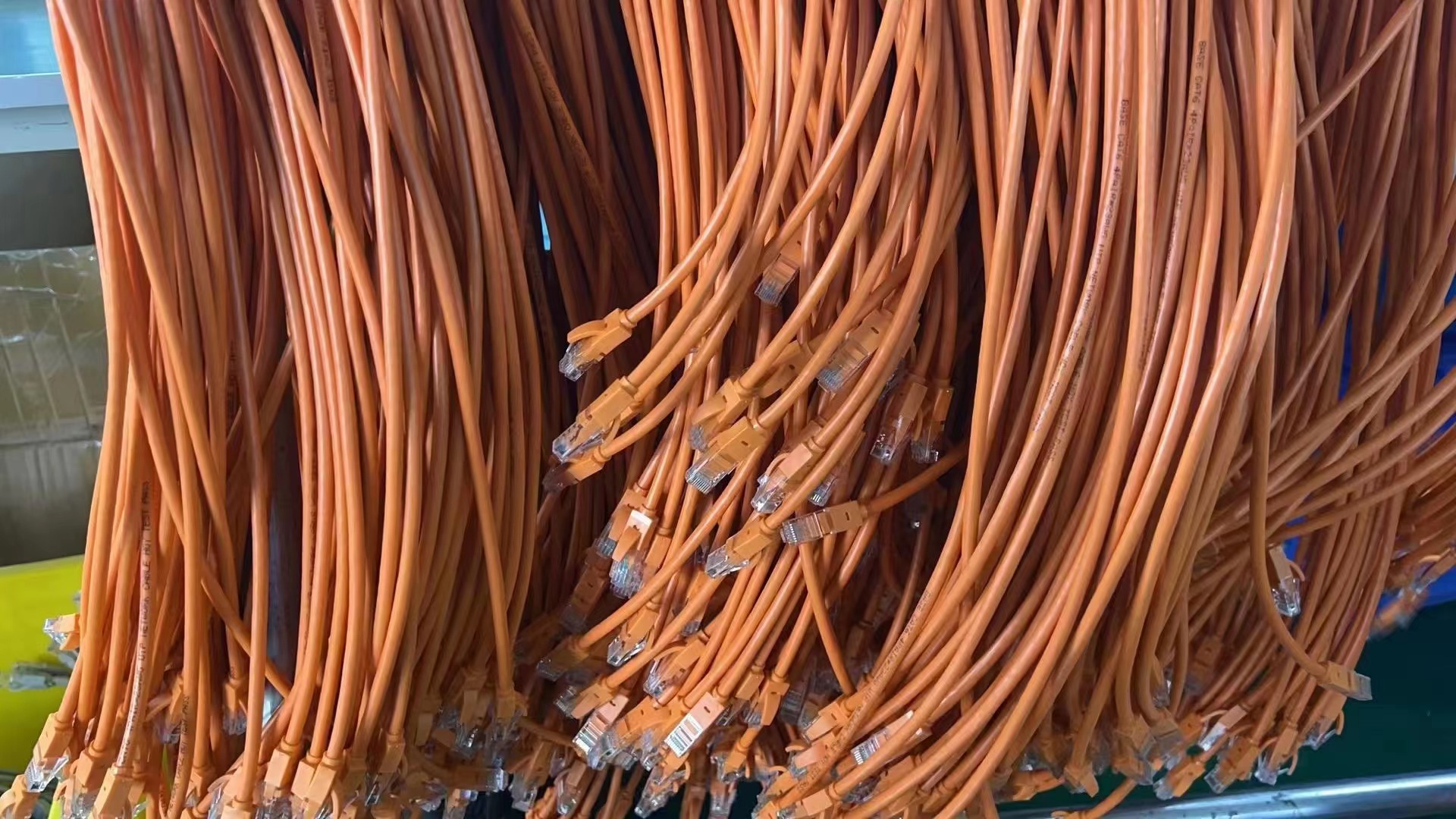 network patch cord