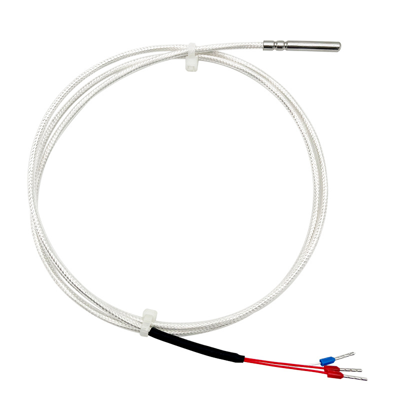 PT100 temperature sensor